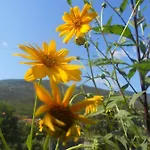 Appartamento La Casina Di Sopra Aaut