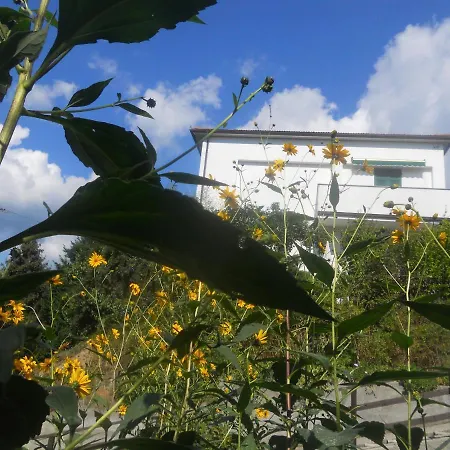 Apartamento La Casina Di Sopra Aaut