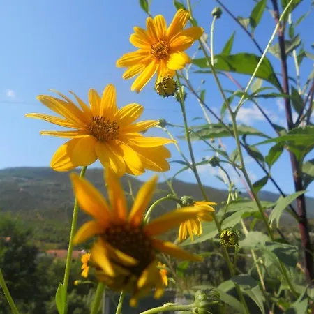 דירה La Casina Di Sopra Aaut