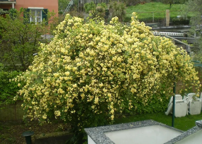 La Casina Di Sopra Aaut Appartement *
