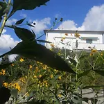 Apartamento La Casina Di Sopra Aaut