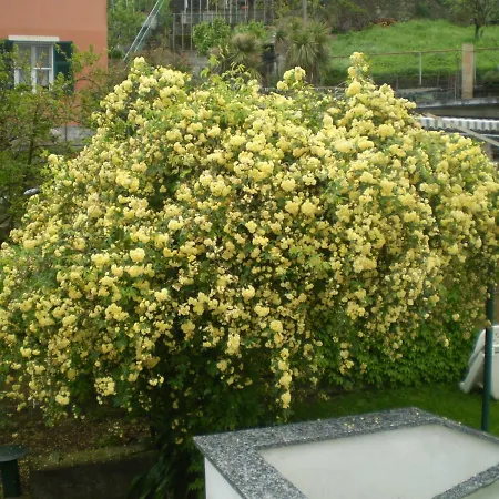 La Casina Di Sopra Aaut Apartmán *