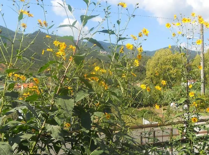 La Casina Di Sopra Aaut