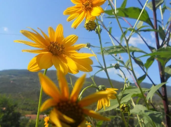 Apartmán La Casina Di Sopra Aaut